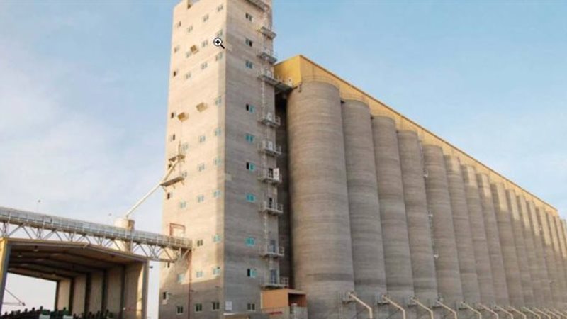  مطاحن شرق الدلتا