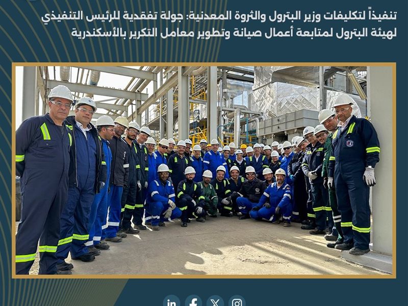  كريم بدوي، وزير