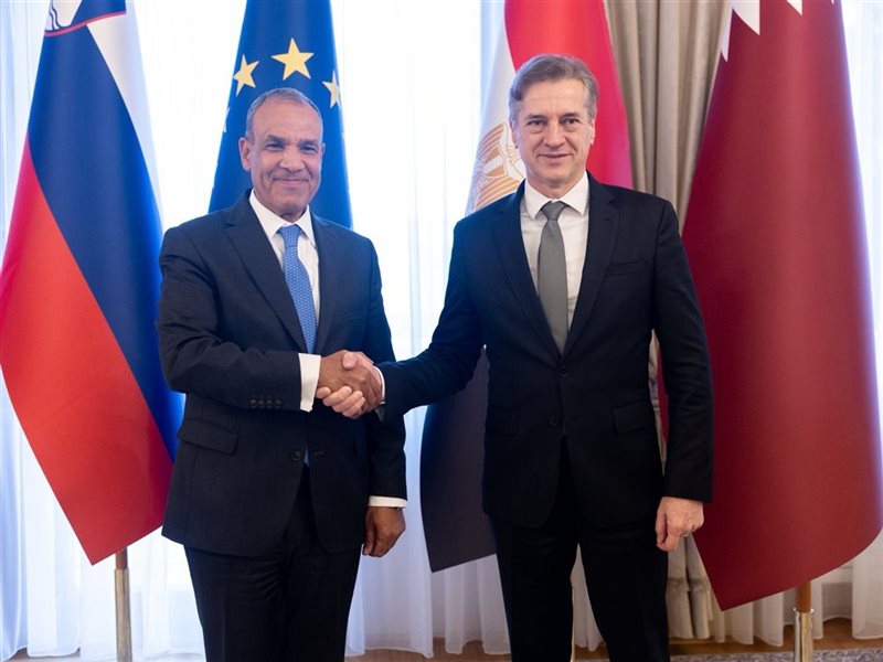 بدر عبد العاطي وزير