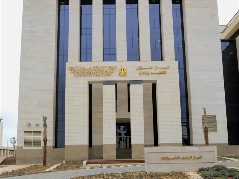 التنظيم والإدارة