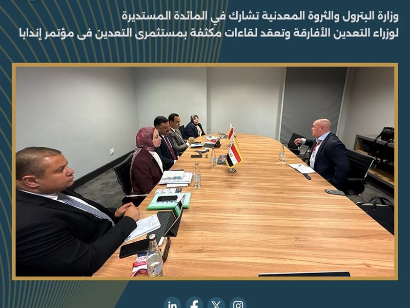  وزارة البترول والثروة