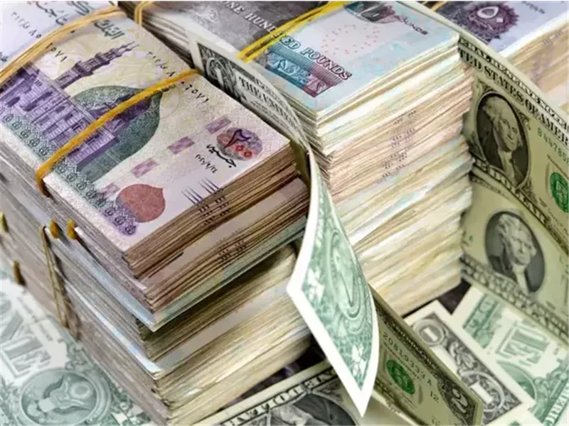 العملة المصرية والدولار