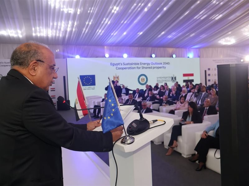 وزير الكهرباء 