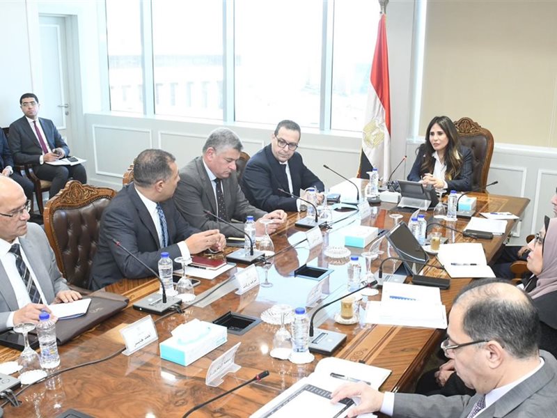 المهندسة راندة المنشاوي