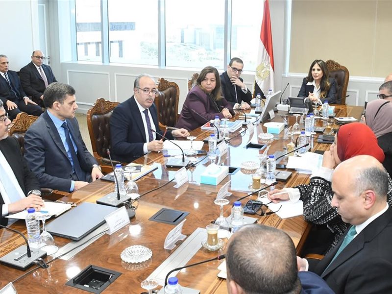 المهندسة راندة المنشاوي