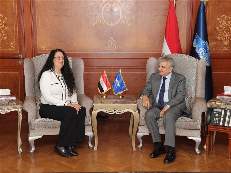  الفريق أسامة ربيع،