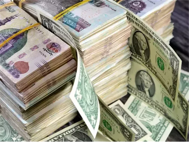 العملة المصرية