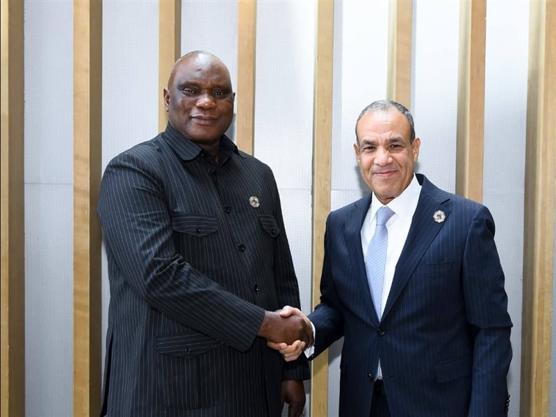 بدر عبد العاطي، وزير