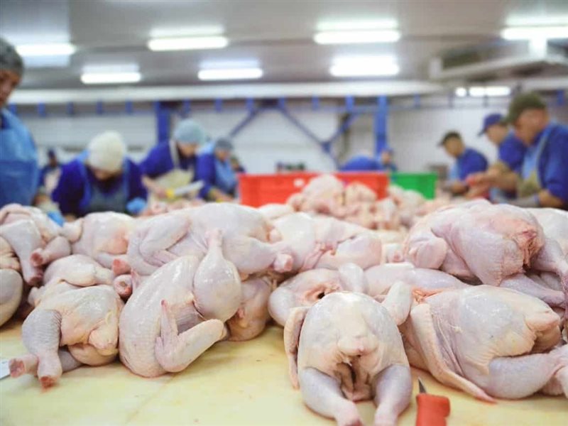 الدواجن في السوق