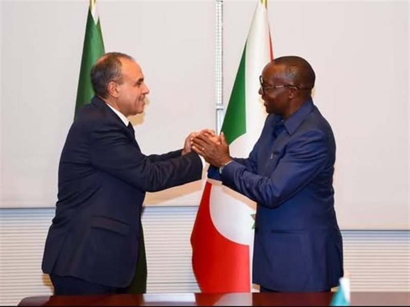 وزير الخارجية المصري ونظيره البوروندي