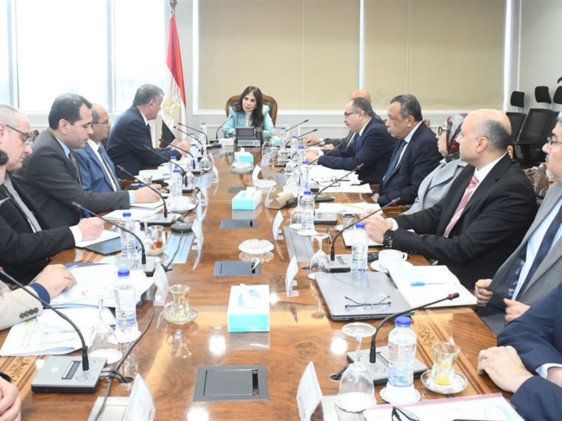 راندة المنشاوي وزيرة