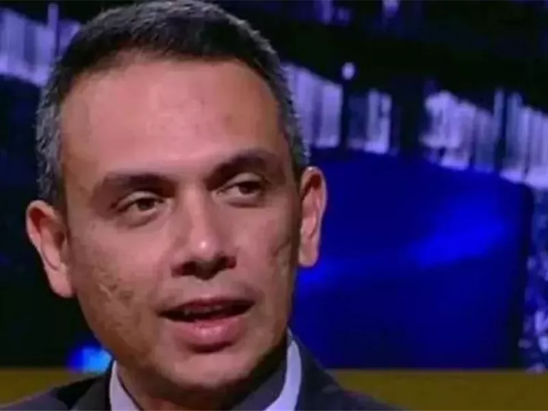 الخبير الاقتصادي هاني جنينة 