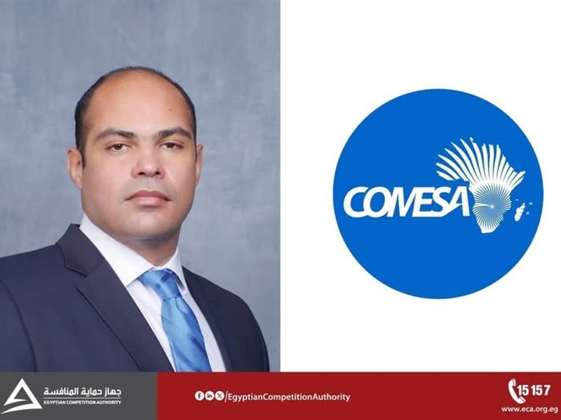 الدكتور محمود ممتاز