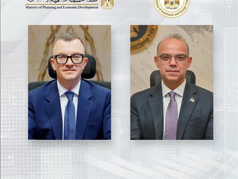  محمد فريد صالح، وزير الاستثمار