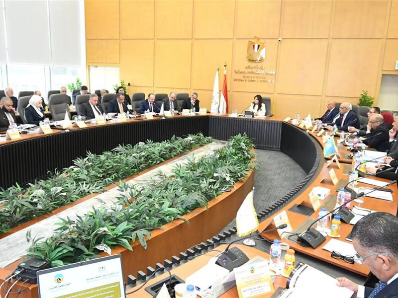 راندة المنشاوي وزيرة