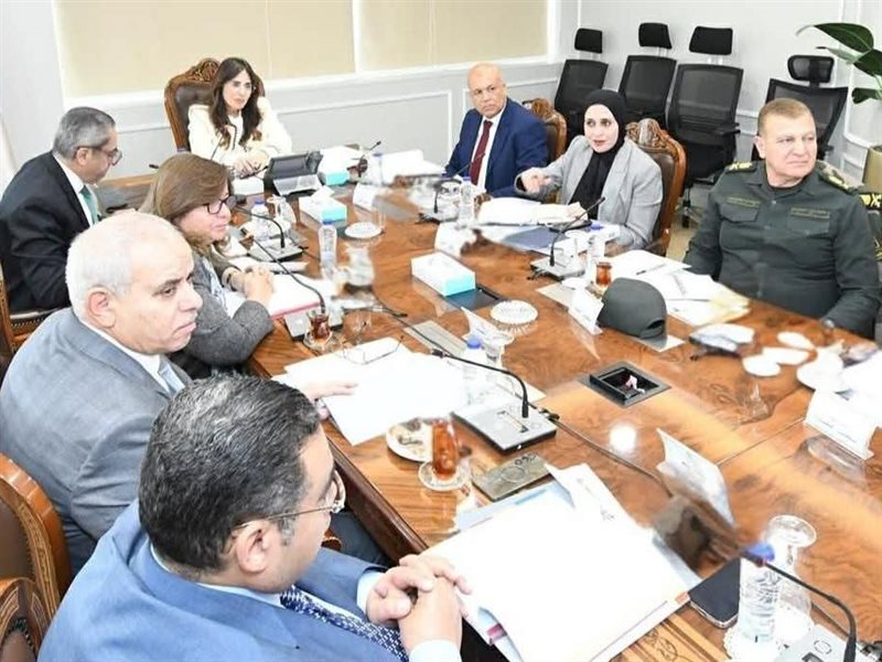 راندة المنشاوي وزيرة