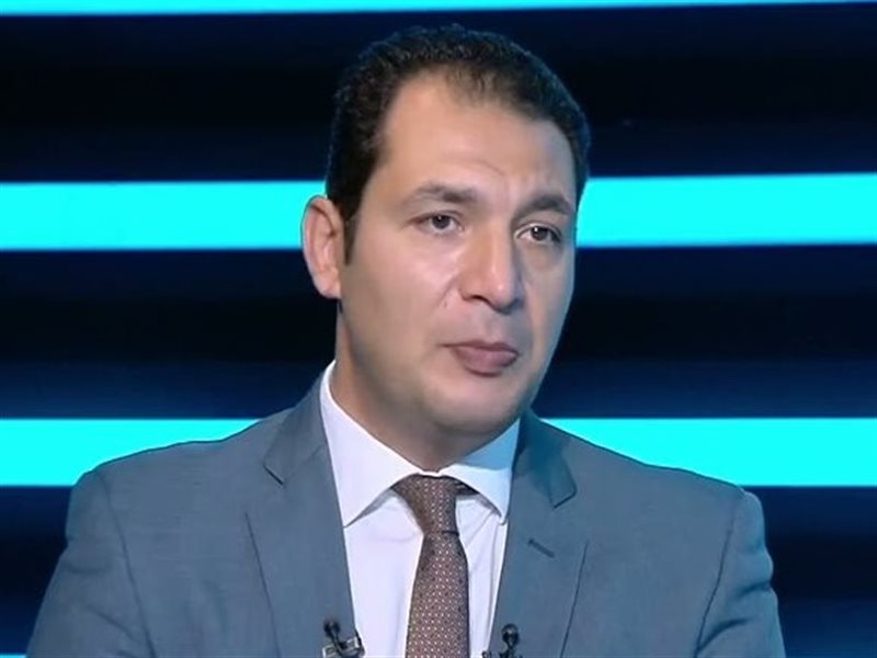 محمد كمال، الخبير الاقتصادي