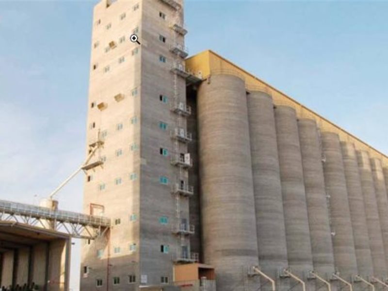  مطاحن جنوب القاهرة