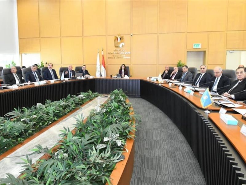 راندة المنشاوي وزيرة