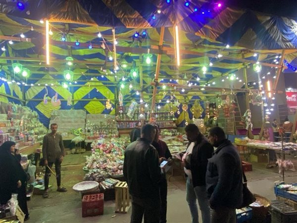 تحرير 40 محضر سرقة كهرباء وفصل التوصيلات غير القانونية بالسيدة زينب