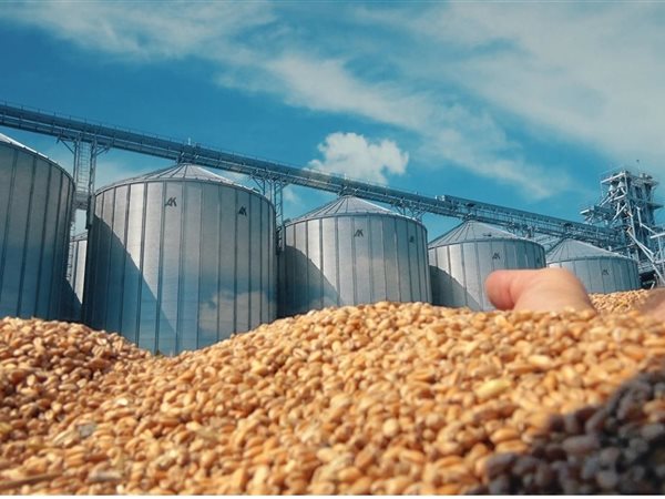 أرباح «العامة للصوامع» ترتفع 15% خلال أول 7 أشهر من العام المالي 2026