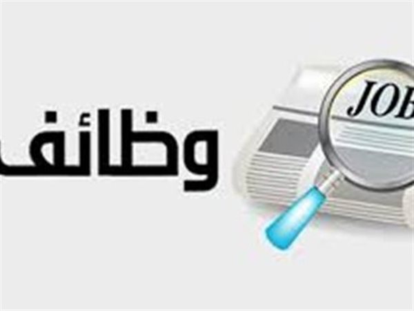 لحملة الابتدائية ومحو الأمية..تفاصيل مسابقة وظائف شركة مياه الجيزة  للسائقين والعمال