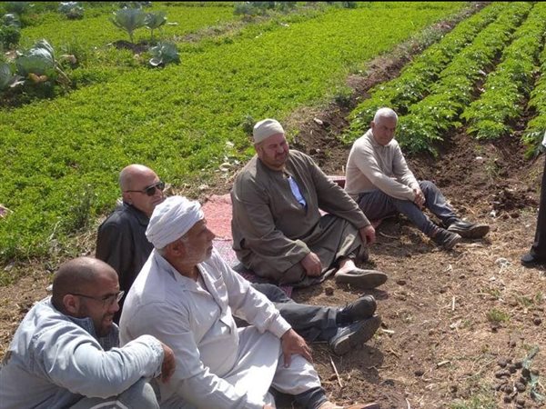 افتتاح 20 معملاً لرقابة البطاطس وتحليل 7426 عينة..قفزة علمية لمركز البحوث الزراعية