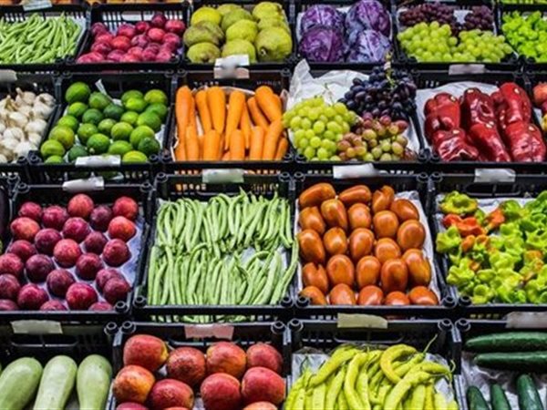 1.5 مليار دولار صادرات العنب والفراولة والبرتقال خلال 10 أشهر