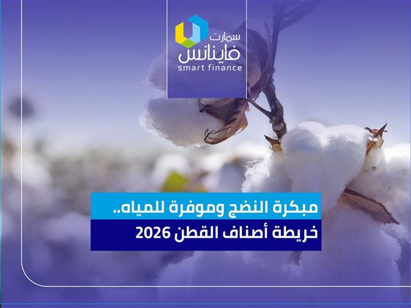 مبكرة النضج وموفرة للمياه.. خريطة أصناف القطن 2026
