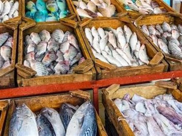 استقرار نسبي في أسعار الأسماك والمأكولات البحرية بالأسواق اليوم