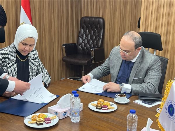 رشا عبدالعال: إطار إجرائي محدد ومنضبط لتطبيق اتفاقيات تجنب الازدواج الضريبي وتعزيز ثقة المستثمرين الأجانب 