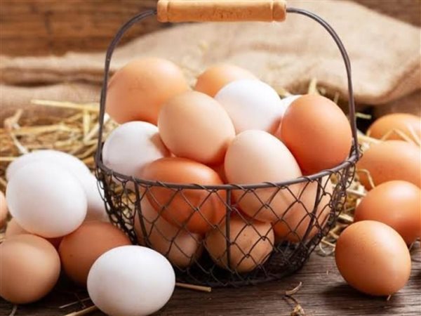 استقرار أسعار البيض الأبيض والبلدي اليوم الخميس.. الكرتونة بكام 