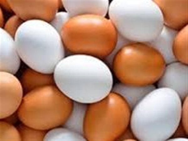 كرتونة البيض الأبيض بـ 120 جنيه.. الأسعار مستقرة اليوم السبت
