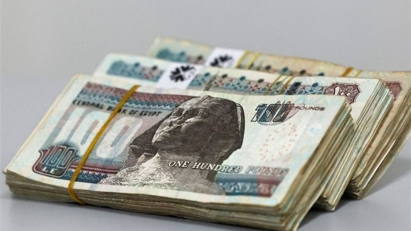 حماية المدخرات من التآكل