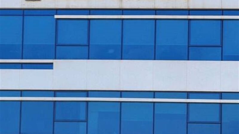 النعيم القابضة 