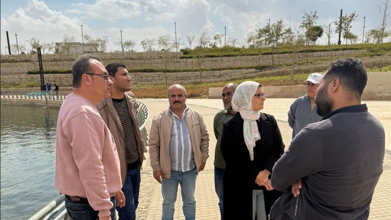 رئيس جاهز العاصمة الجديدة 