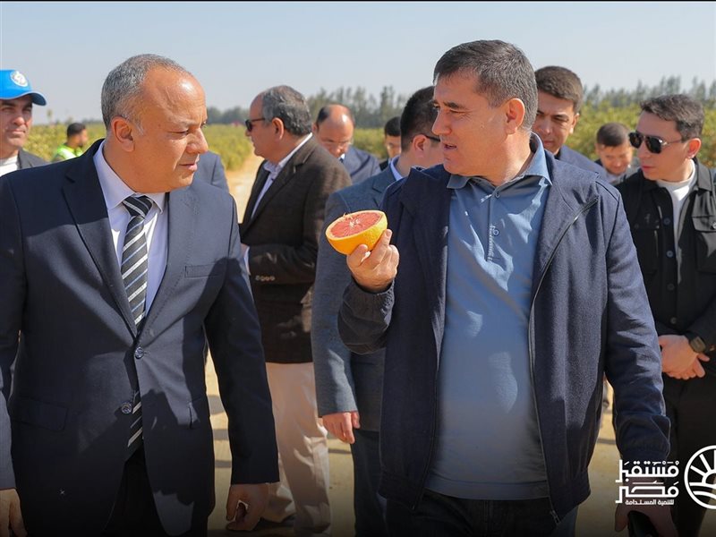 جهاز مستقبل مصر