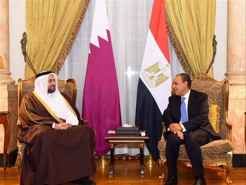 بدر عبد العاطي وزير