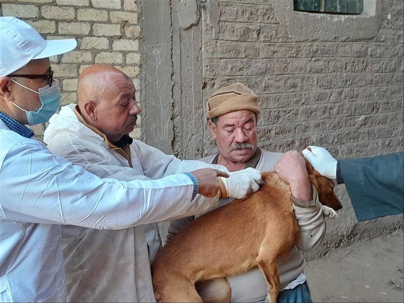  مكافحة مرض السعار