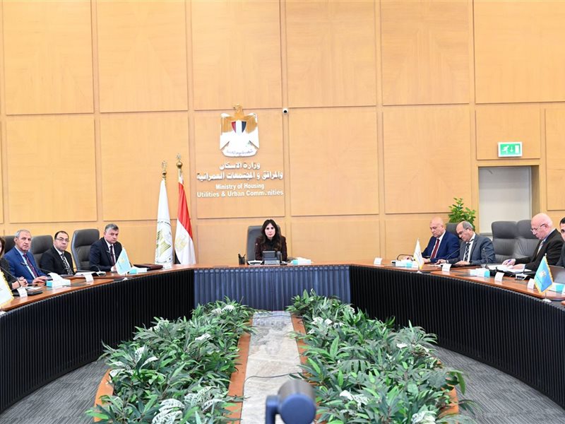 راندة المنشاوي وزيرة