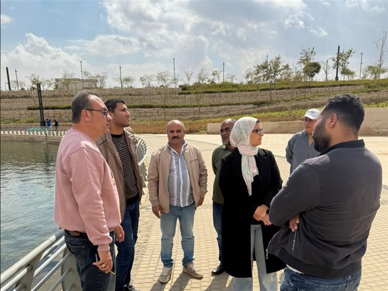 رئيس جاهز العاصمة