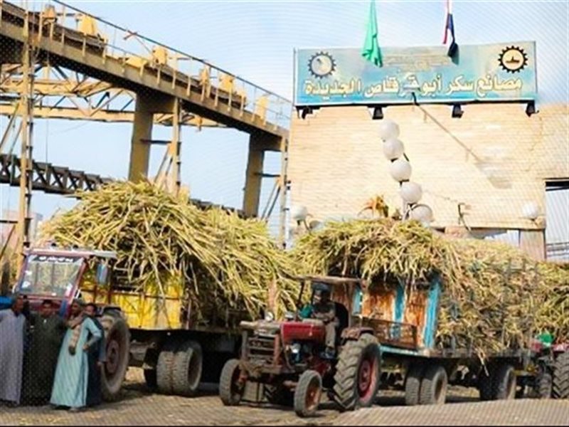 مصنع سكر أبو قرقاص