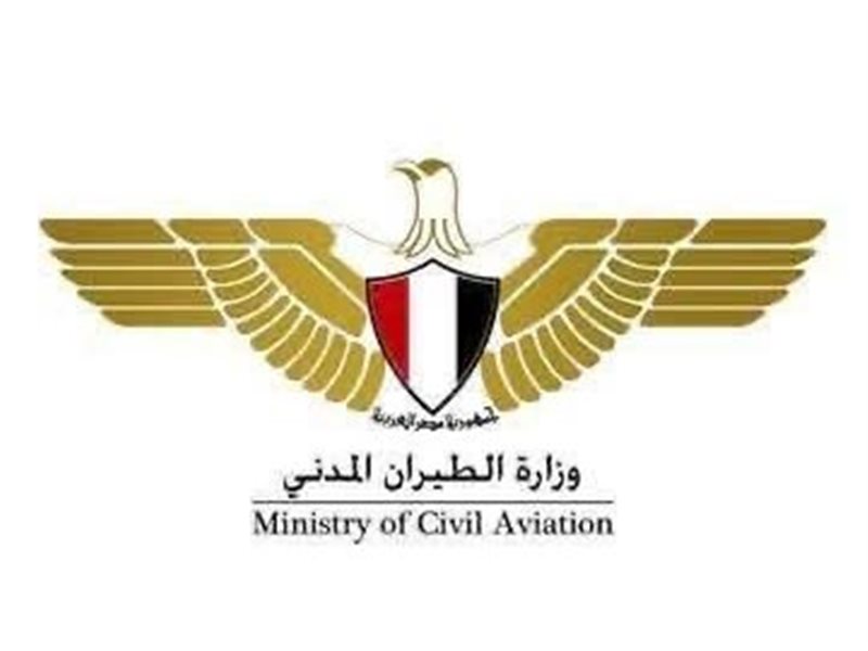 الطيران
