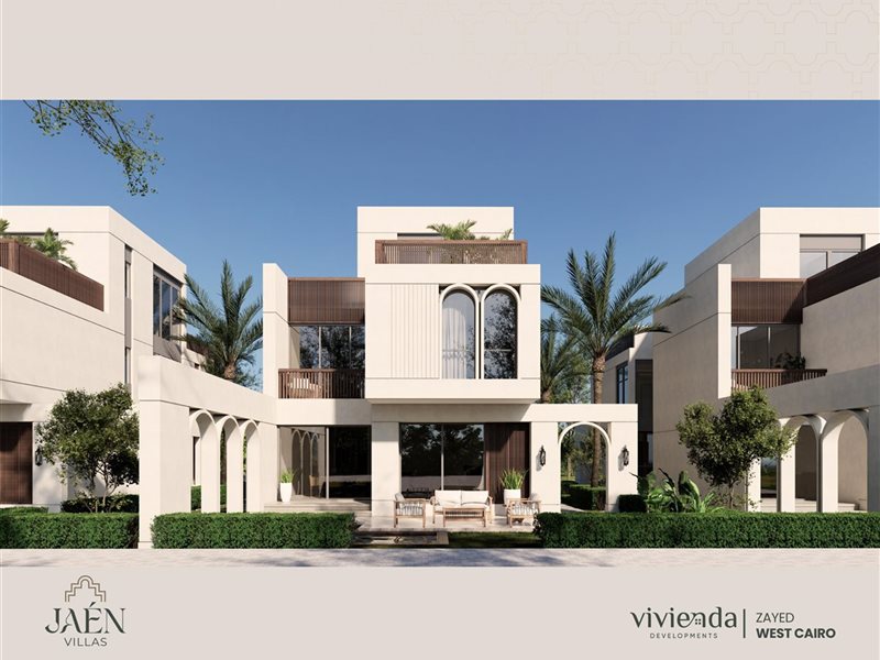 شركة ڤيڤيندا للتطوير