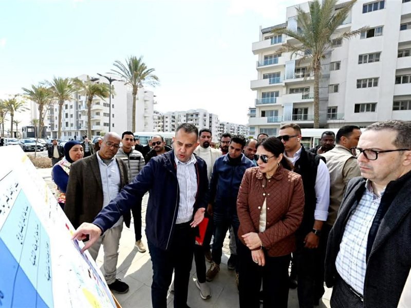 راندة المنشاوي وزيرة