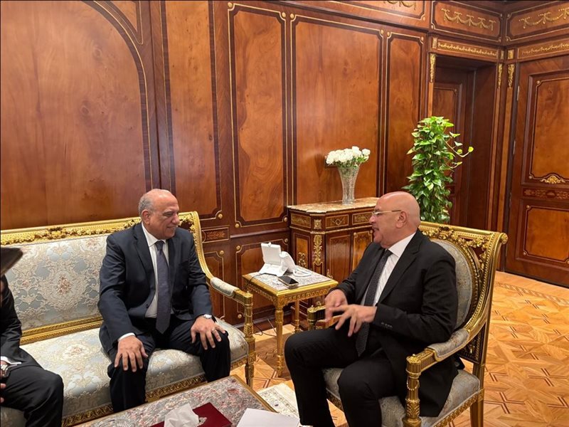 وزير الكهرباء يلتقي