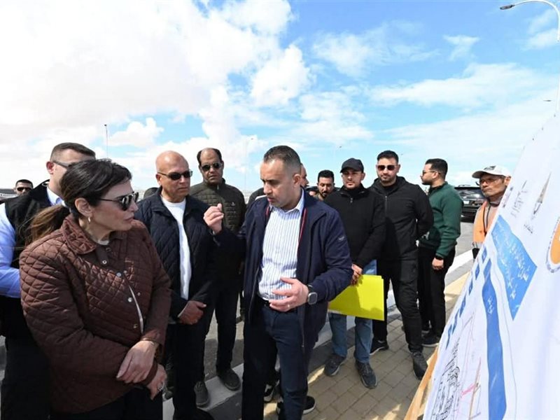 راندة المنشاوي وزيرة