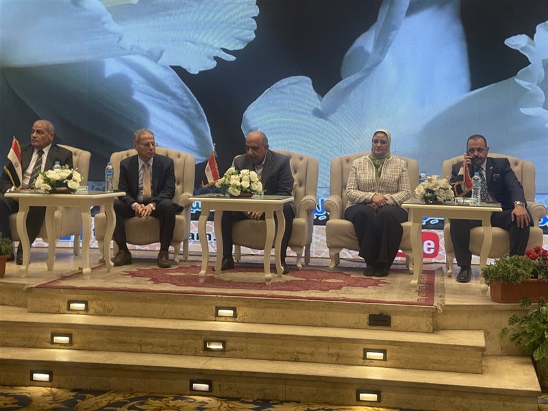 وزير الكهرباء 