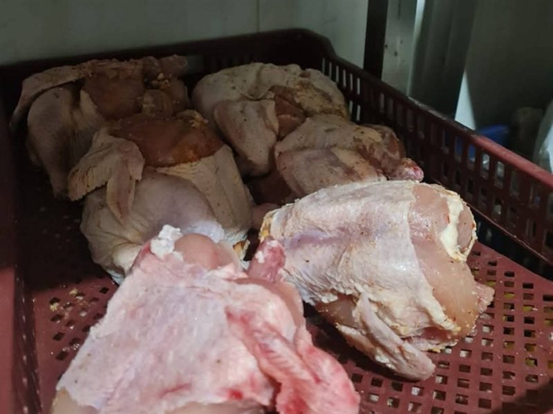 ضبط دواجن مجهولة