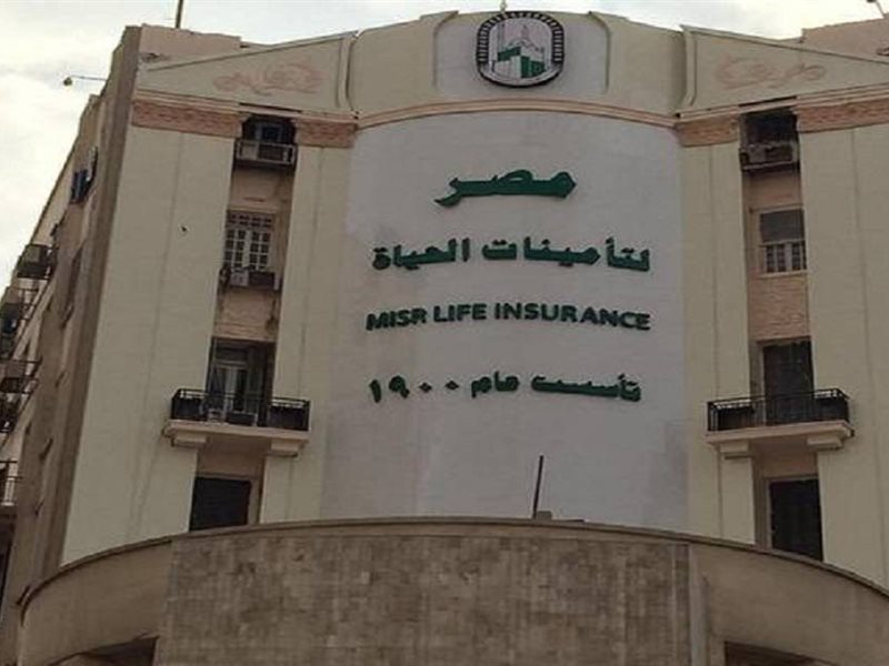 مصر لتامينات الحياة